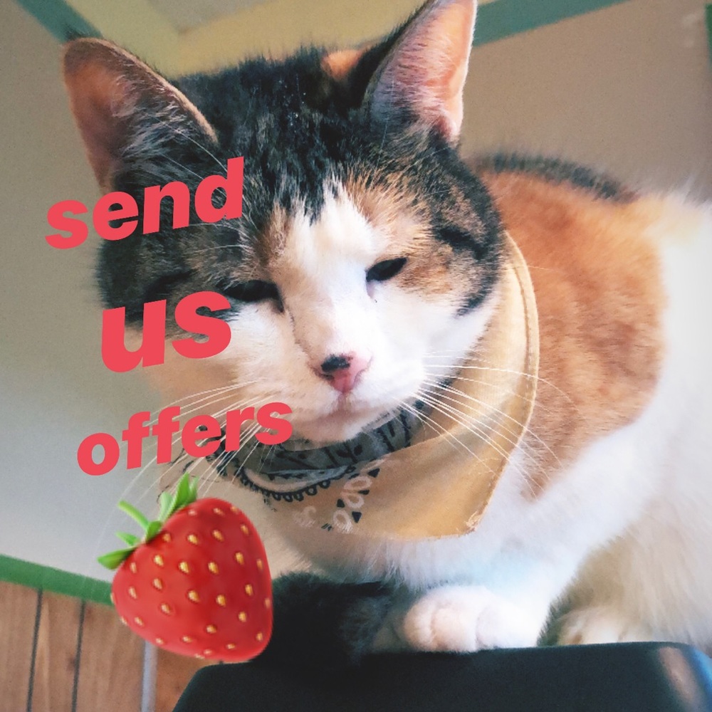 SEND OFFERS